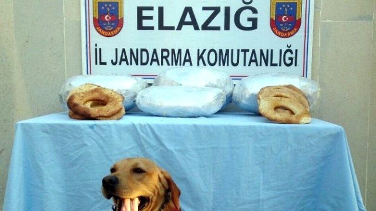 Simitlerin Altındaki Esrar Jandarmaya Takıldı