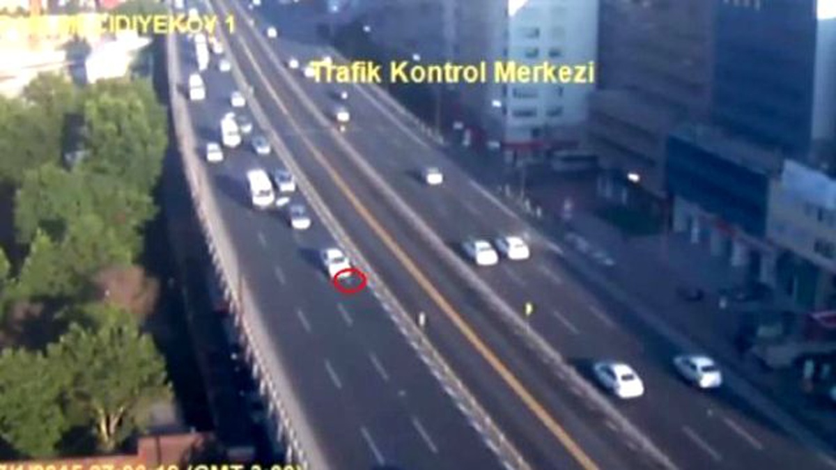 Zincirleme Kazaya Martı Neden Olmuş