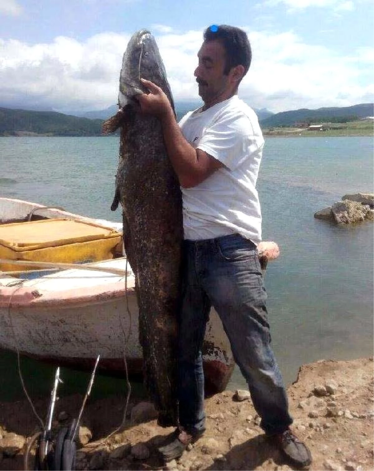 Almus Barajı\'nda Oltayla 80 Kiloluk Yayın Balığı Yakaladı