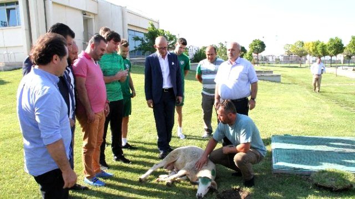 Bursaspor Yeni Sezon Hazırlıklarına Başladı