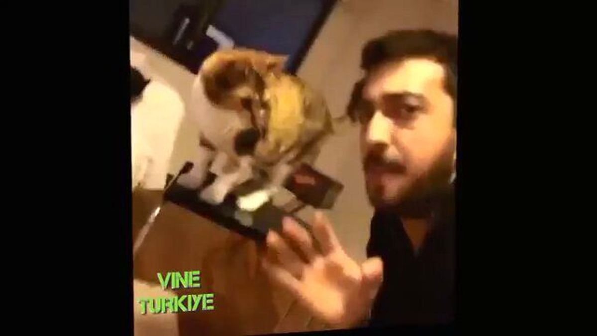 Ev Seksisi En Çok İzlenen Komik Türk Vineleri 2015 Gülmekten Yarılacaksınız