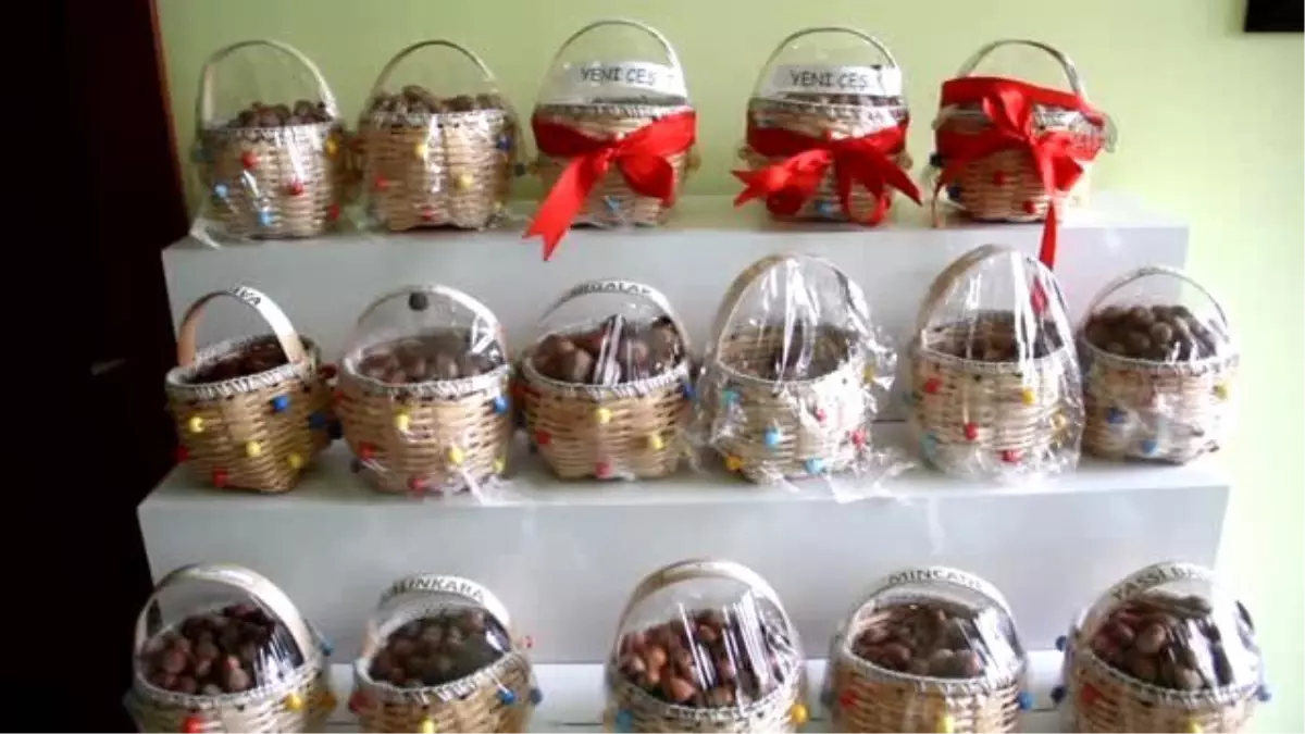 Fındıktan Cips Üretilecek