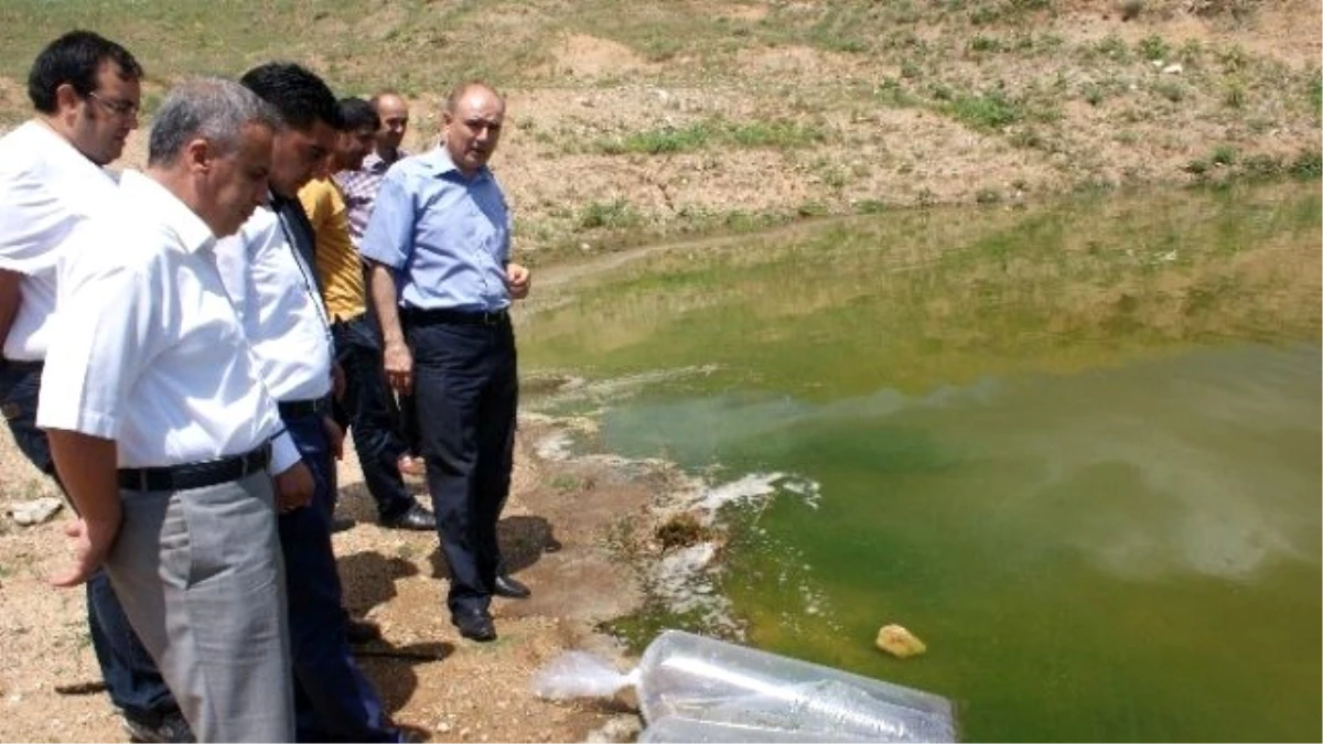 Kırıkkale\'de Cinali Göletine 20 Bin Yavru Balık Bırakıldı