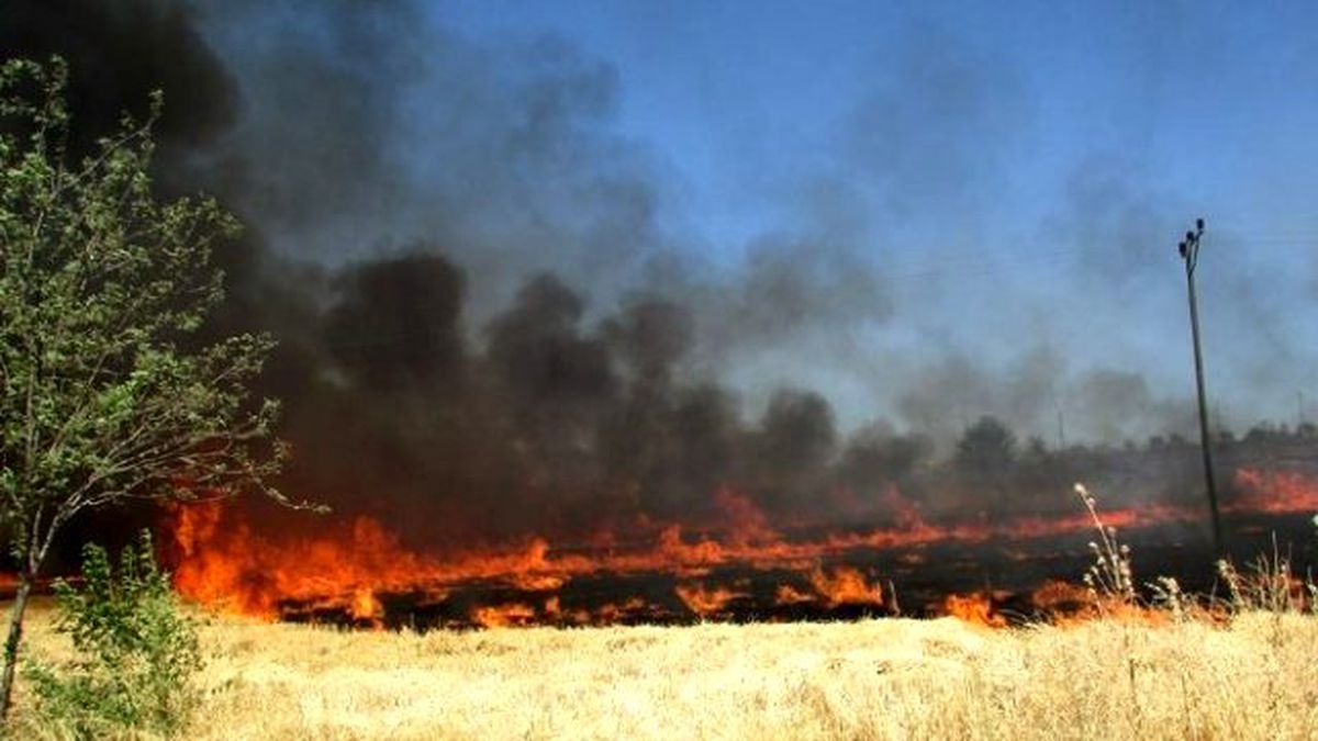 Adıyaman\'da Yangında Ağaçlar ve Elektrik Direkleri Zarar Gördü