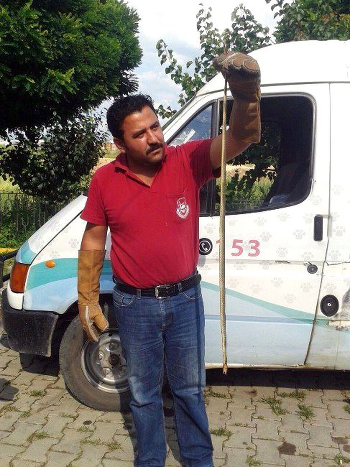 Bursa\'da Zehirli Yılan Paniği