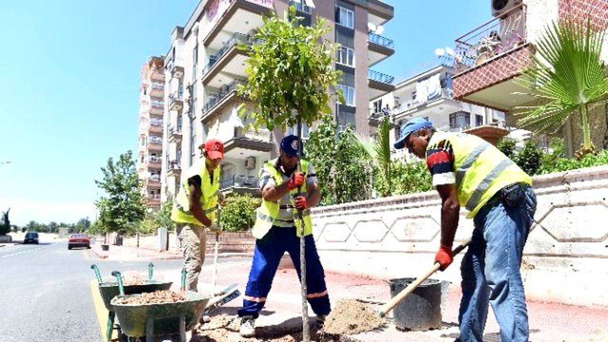 Muratpaşa\'dan Her 7 Metreye Bir Fidan