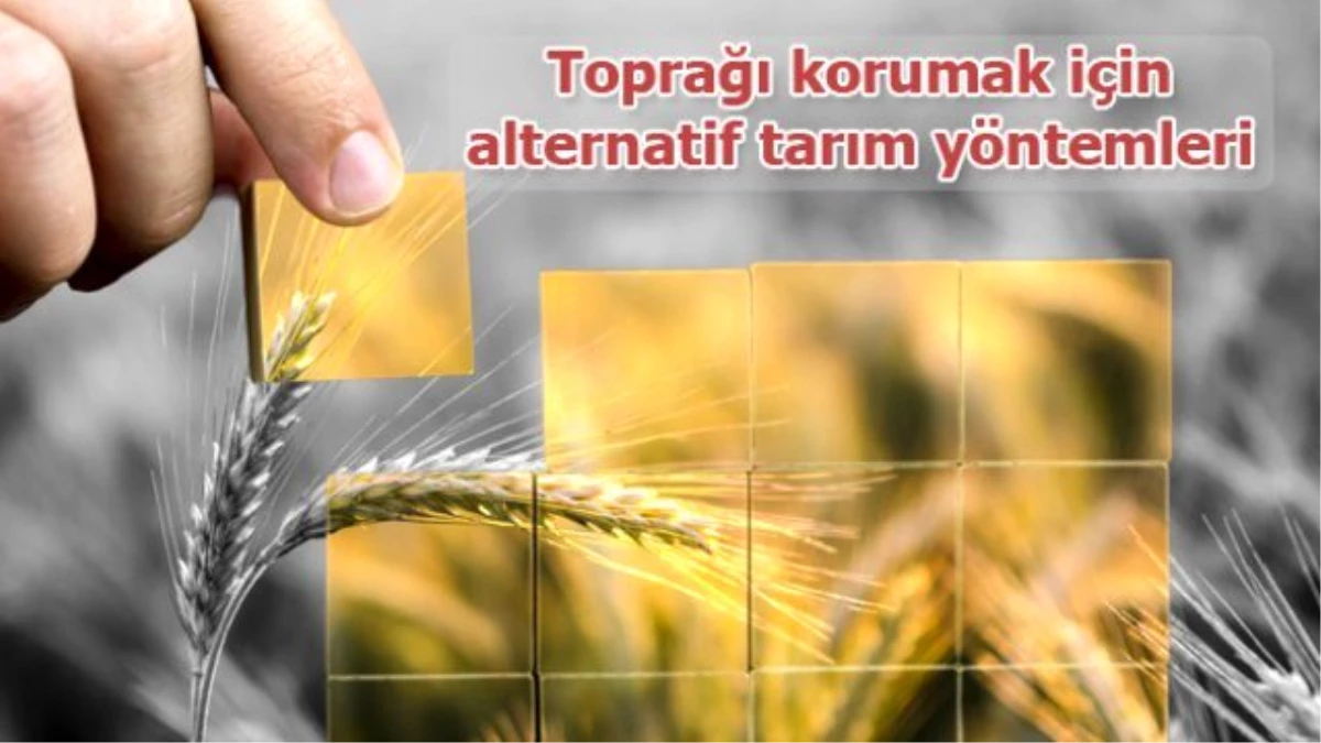 Toprağı Korumak İçin Alternatif Tarım Yöntemleri