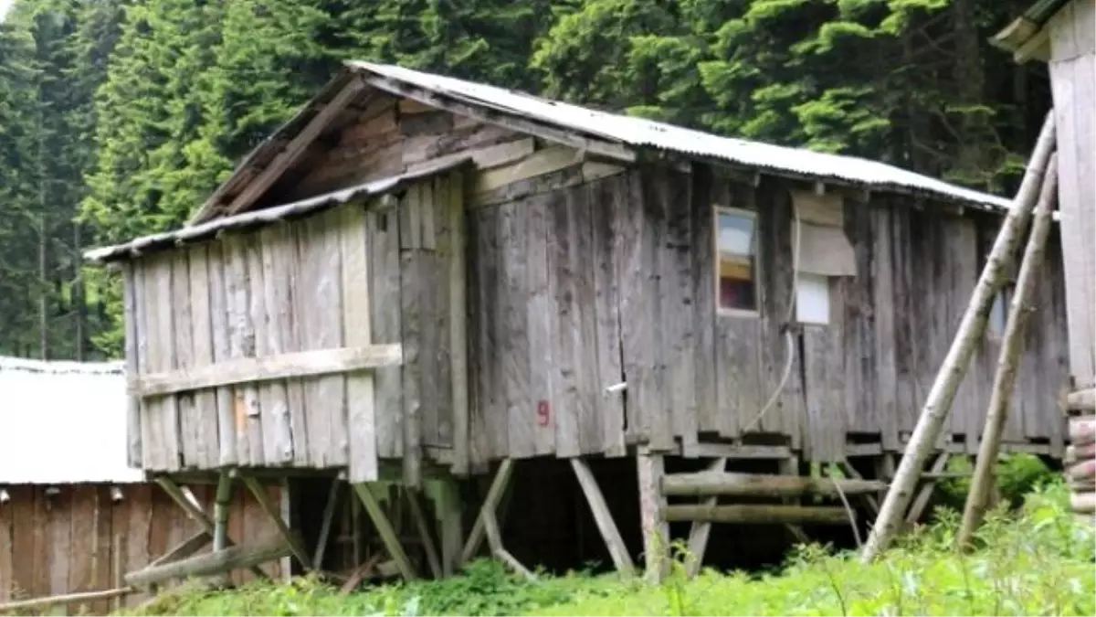 Düzce\'de Yayla Evleri Tespit Edildi