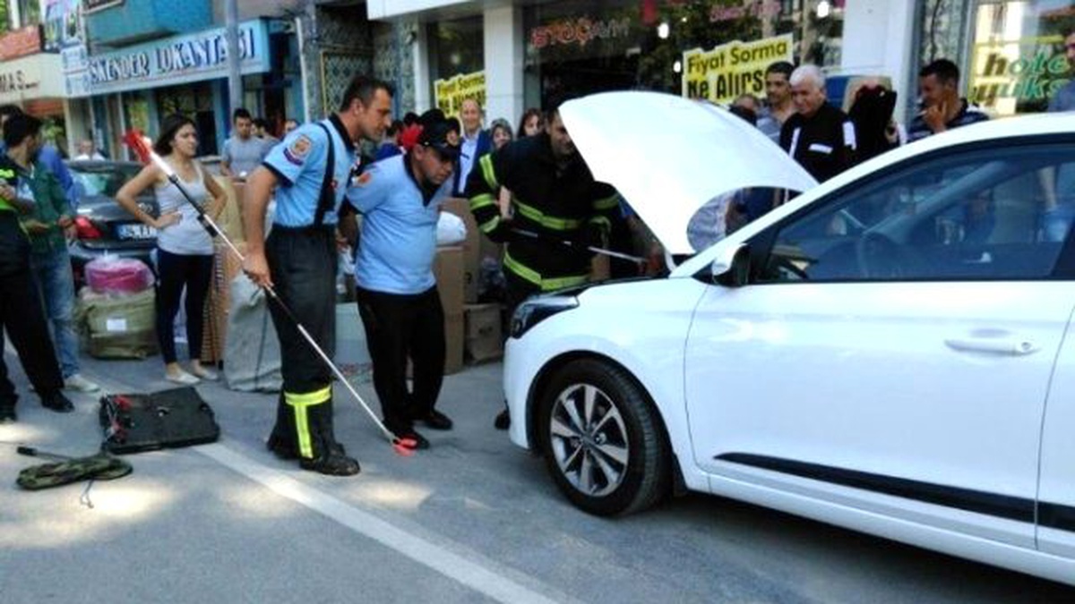 Kütahya\'da Otomobilin Motoruna Giren Yılanı Kurtarma Operasyonu