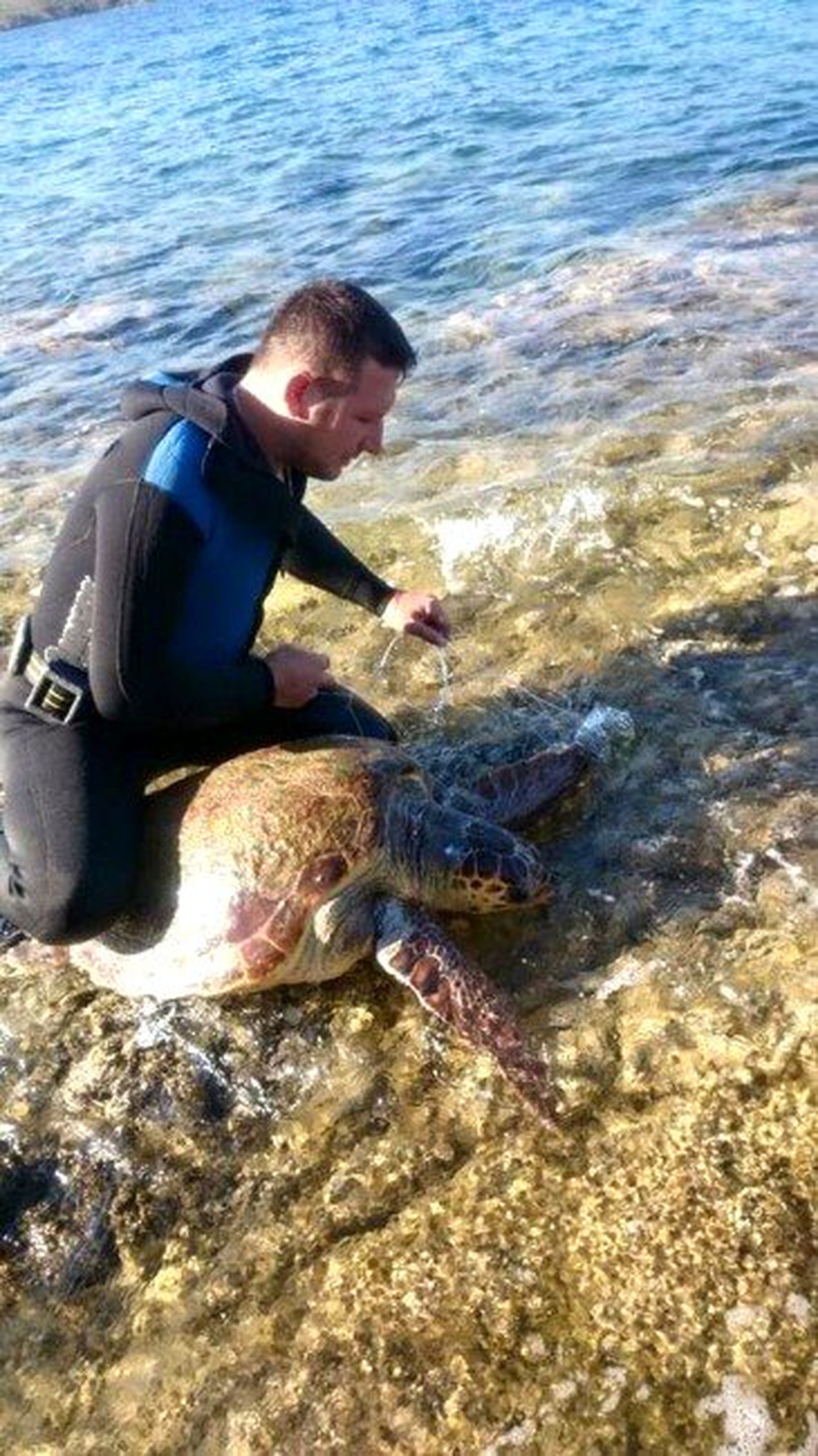 Misinaya Dolanan Caretta Ölmek Üzere İken Kurtarıldı