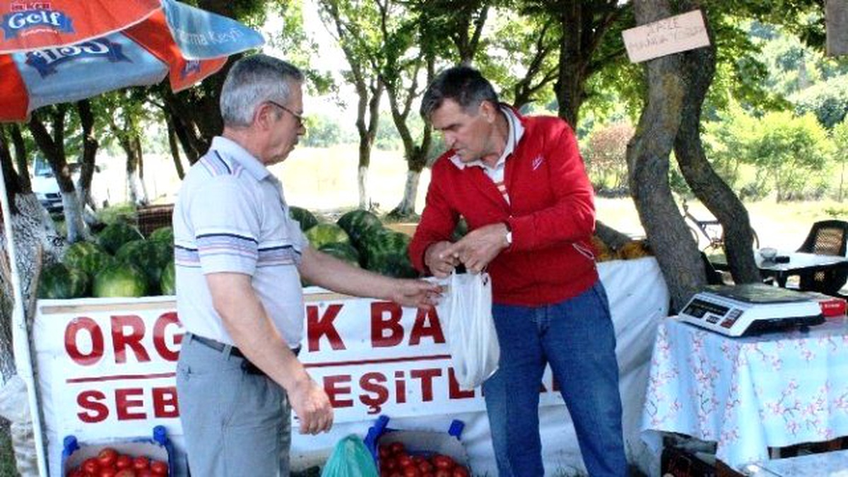 Dünyayı Gezdi, Huzuru Saray\'da Buldu