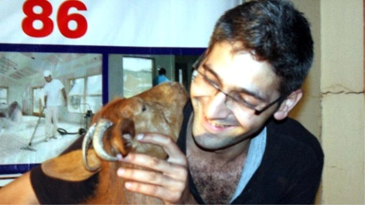 Bursalı Genç Esnaf Köpek Yerine Oğlak Besliyor