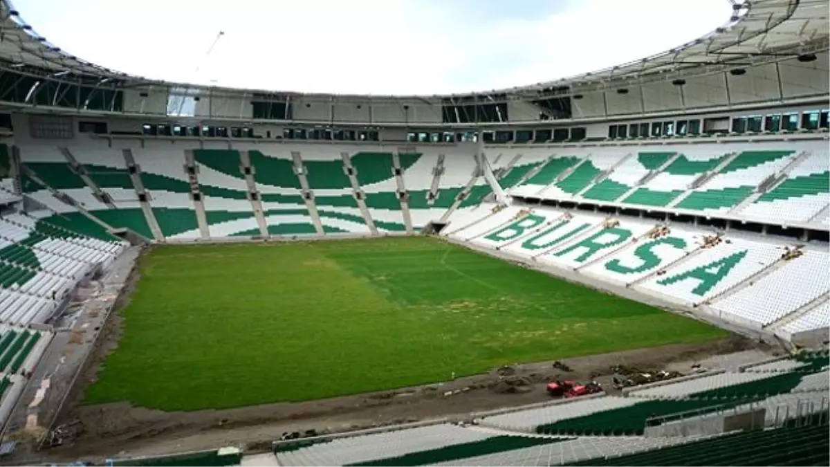 Timsah Arena"Nın Zemini Çimlendirildi