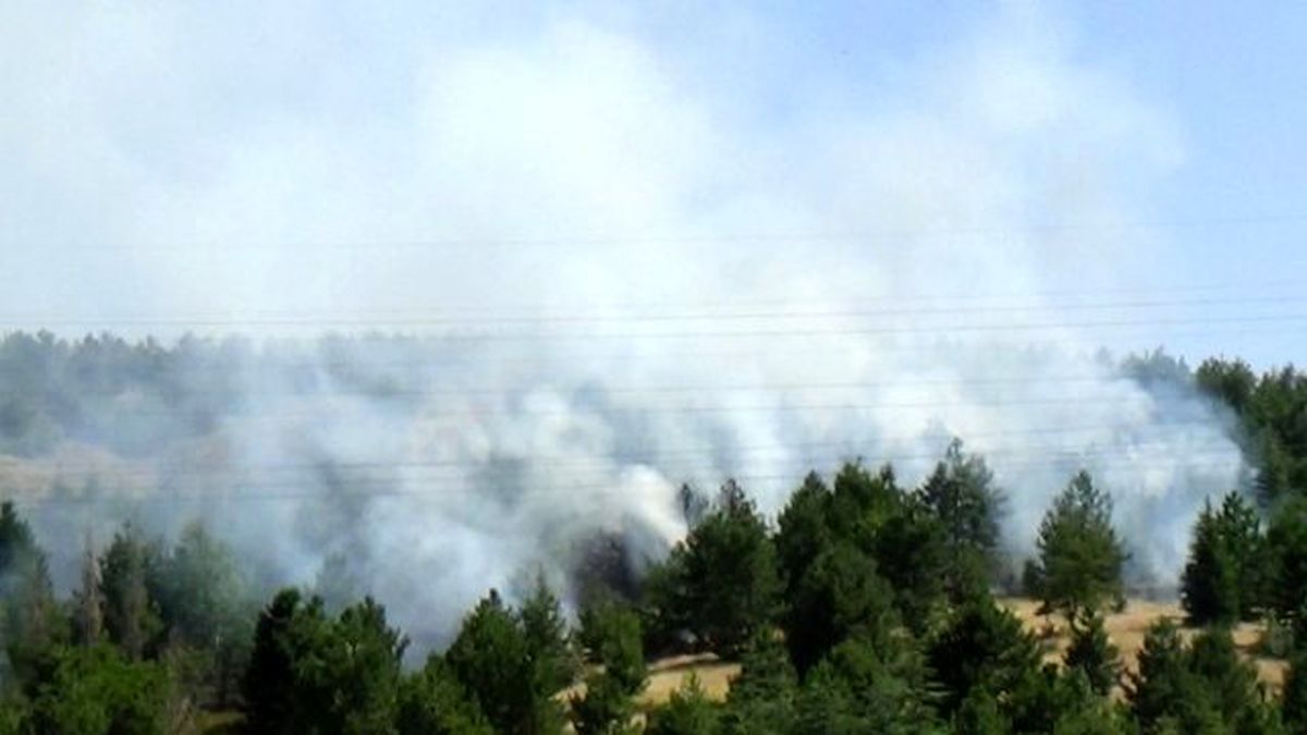 Elazığ\'da Orman Yangını