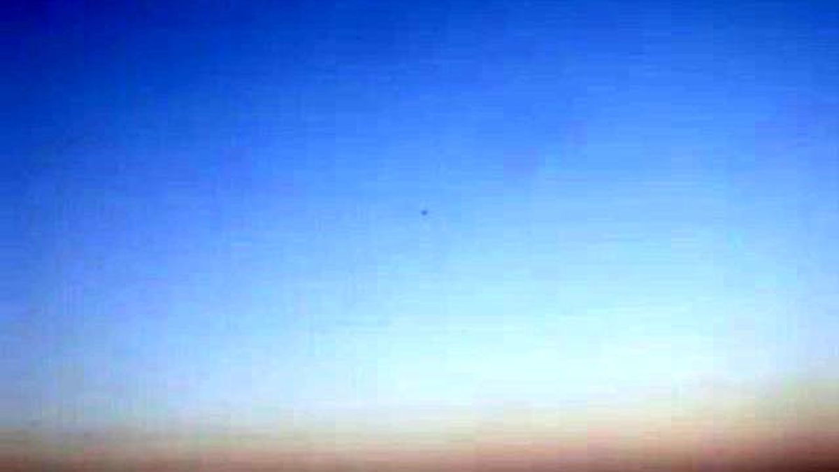 Güvercin Mardin Urfa Öntepe Sarı Saatlik