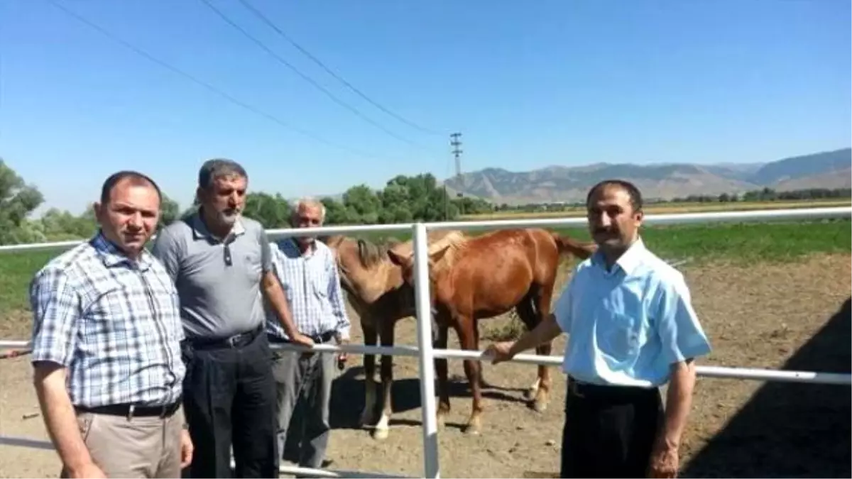 İl Müdürü Çolakoğlu'ndan Çiftlik Ziyareti