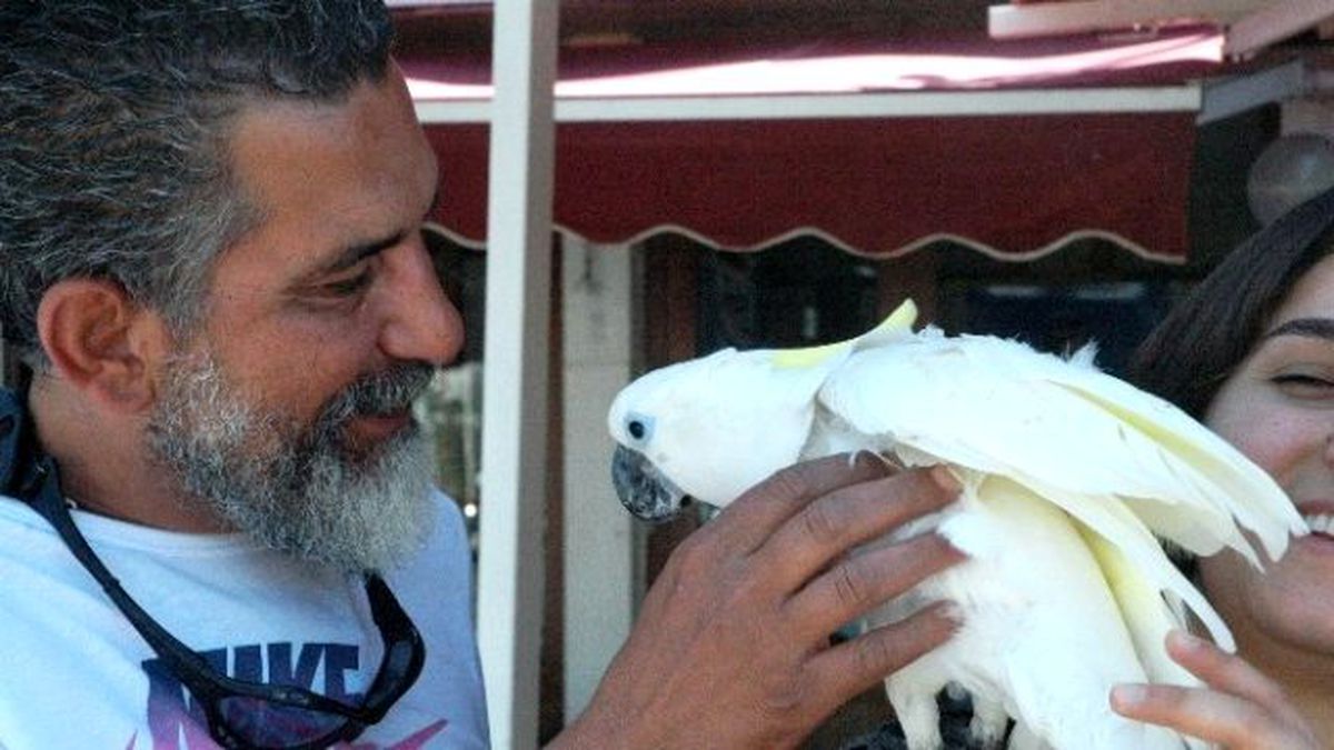 Kaybolan Papağanına 2 Gün Sonra Kavuştu