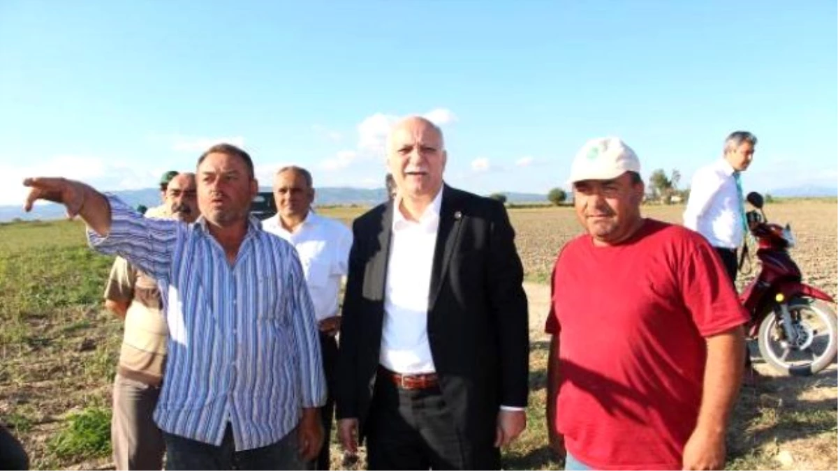 Tzob Başkanı Bayraktar Dolu Mağduru Çiftçileri Ziyaret Etti