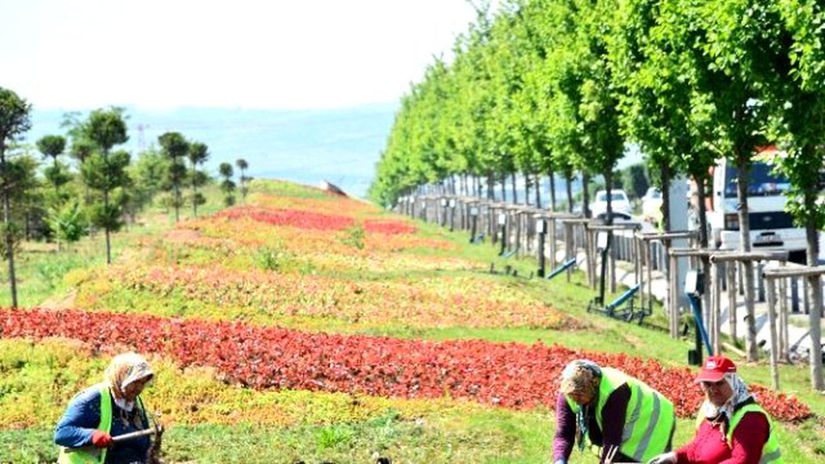 Ankara 4 Milyon Çiçekle, Bu Yaz da Rengarenk