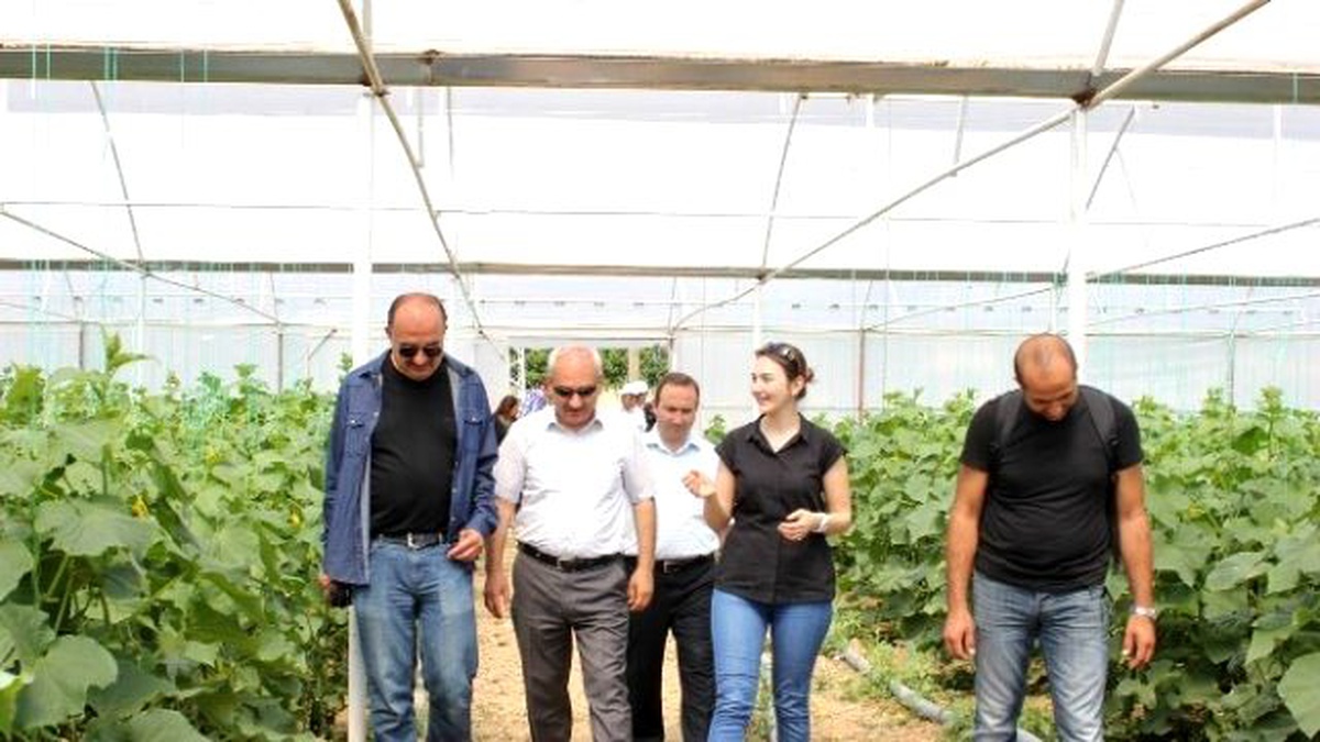İl Müdürü Yılmaz "İyi Tarım Uygulamaları" Yapan Üreticileri Ziyaret Etti