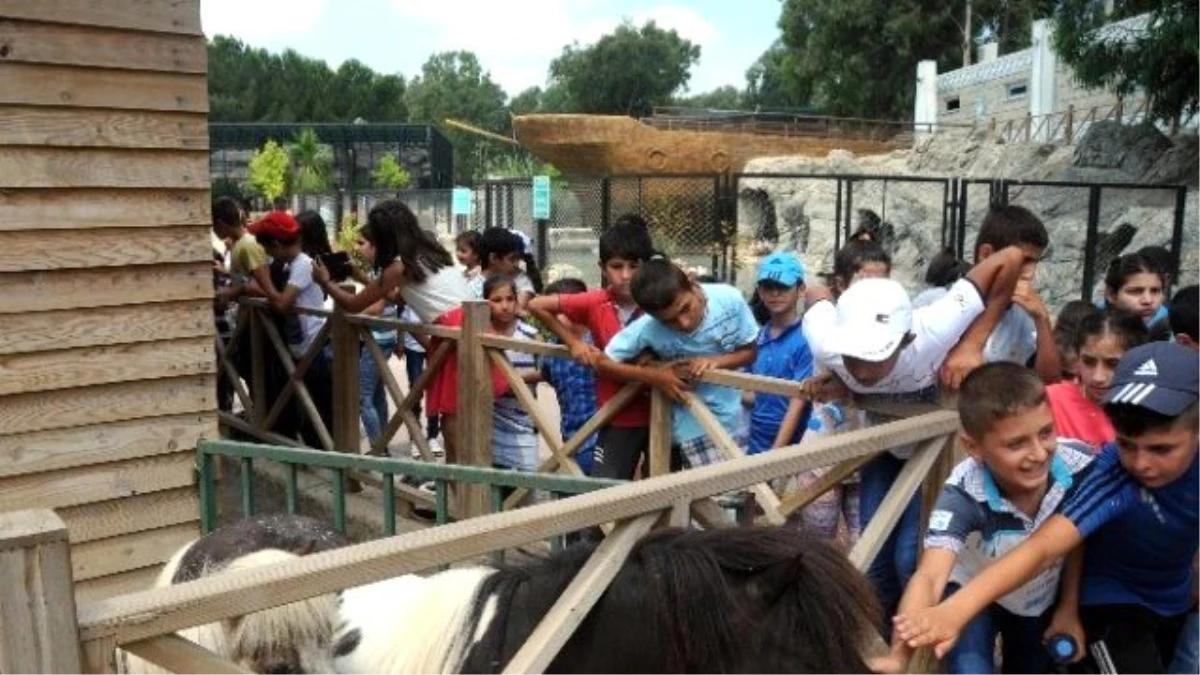 İştar Kursiyeri Çocuklar Hayvanat Bahçesini Gezdi