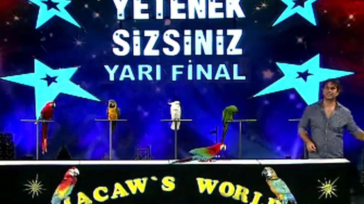 Kaloyan Yavashev Yarı Final Performansı!