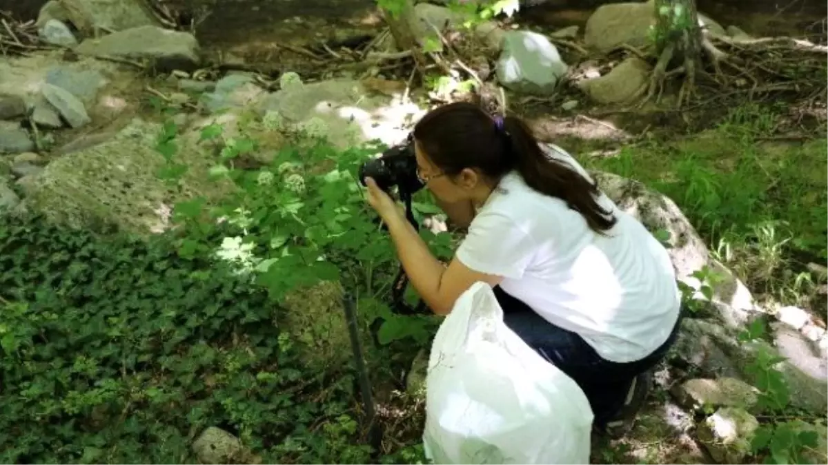 Sadağı Kanyonu Biyolojik Çeşitlilik ve Envanter Çalışması Başladı
