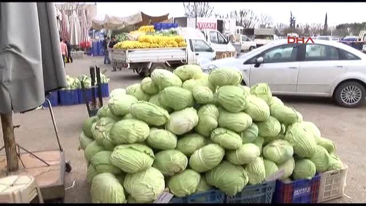 Antalya Meyve ve Sebzelerde Pestisit Alarmı