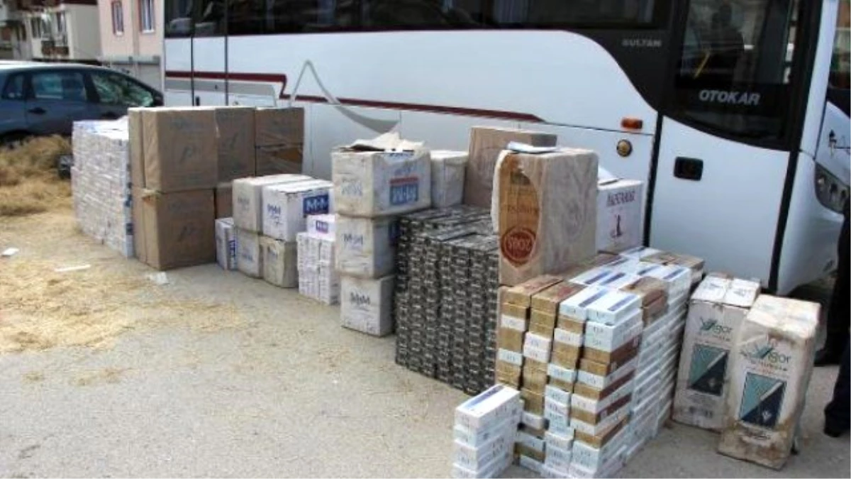 Büyükbaş Hayvan Taşınan Tır\'da 50 Bin Paket Kaçak Sigara