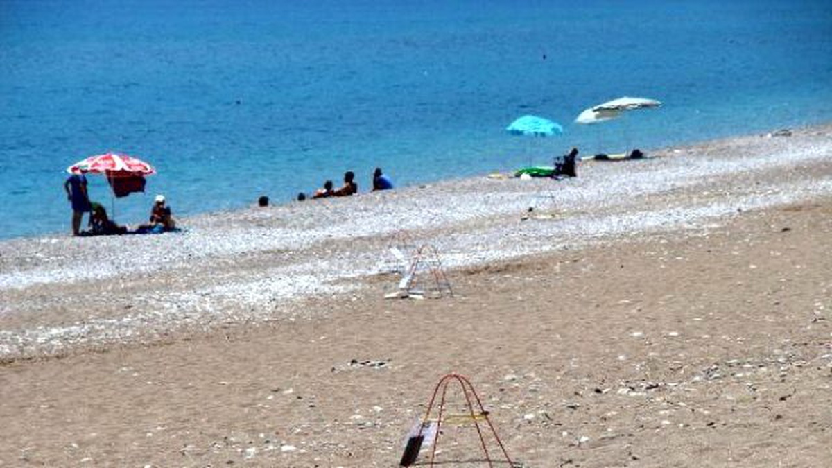 Caretta Carettalar Kampçı Tehdidi Altında (2)