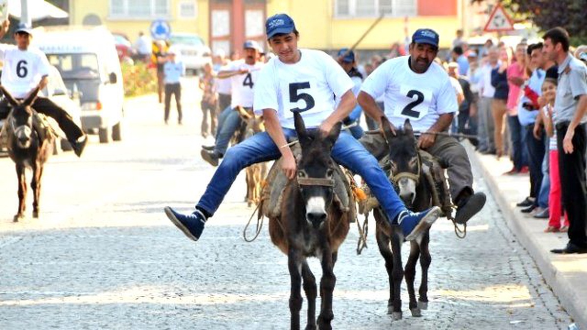 En Güzel Gözlü ve En Hızlı Koşan Eşek Yarışması