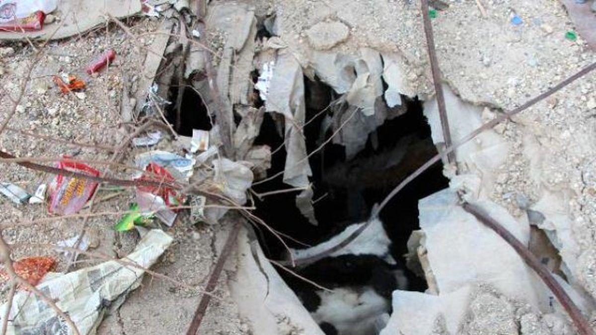Foseptik Çukuruna Düşen İneği İtfaiye Kurtardı