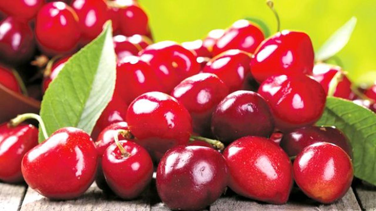 Kemalpaşa\'dan Kiraz İhracatı \'Analiz\'e Takıldı