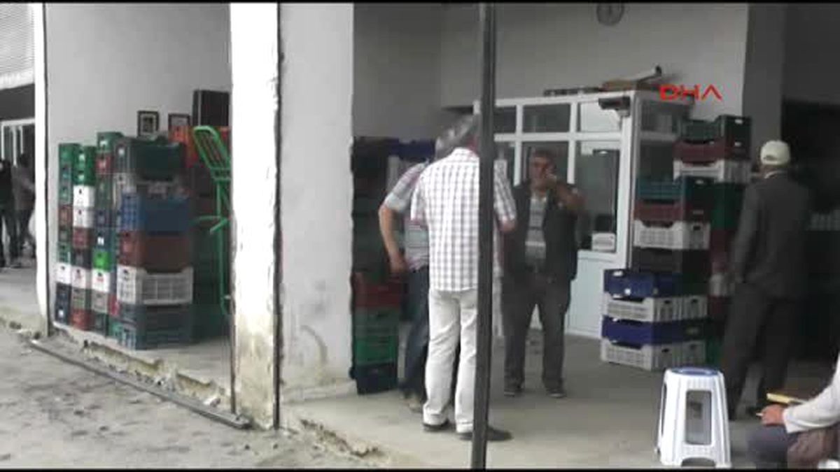 Akşehir\'de İhraç Edilen Kiraz 5 Liradan 2,5 Liraya Düştü