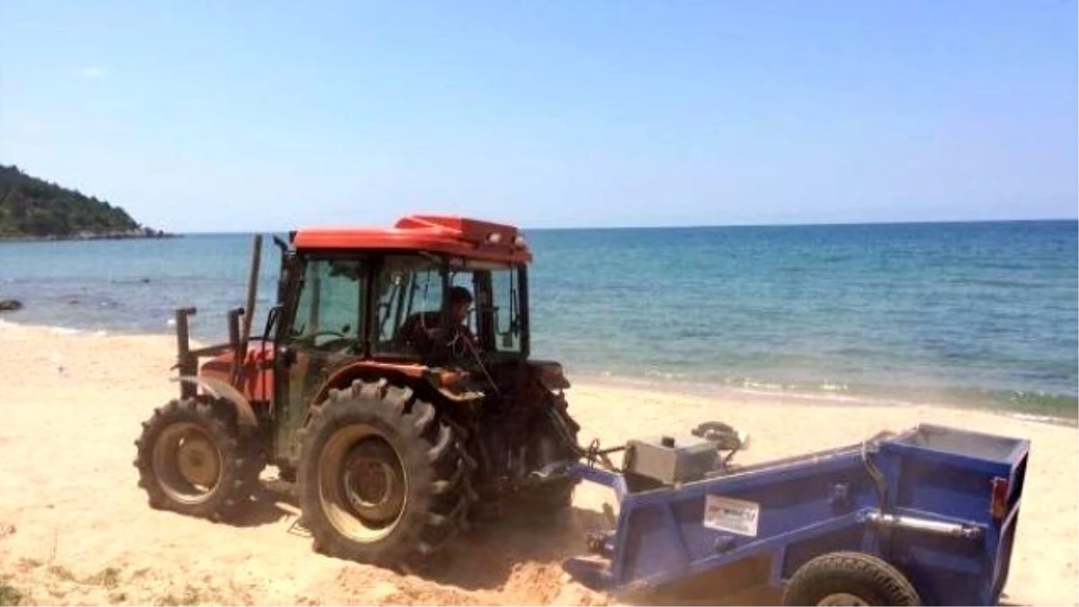 Amasra\'da Plajlar Temizleniyor