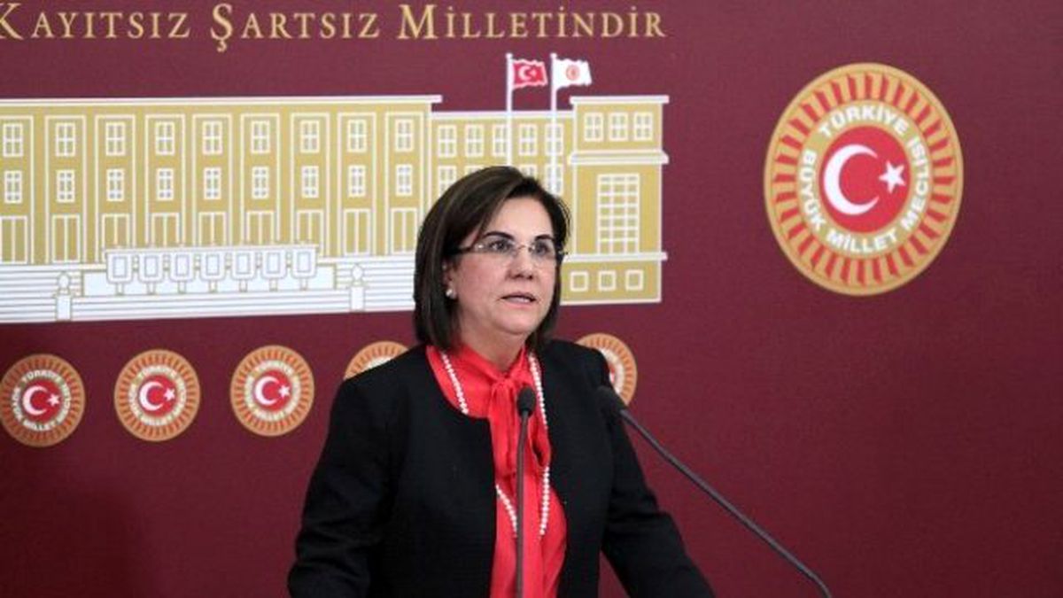 CHP\'li Usluer\'den MHP Grup Başkanvekili Halaçoğlu\'na Tepki