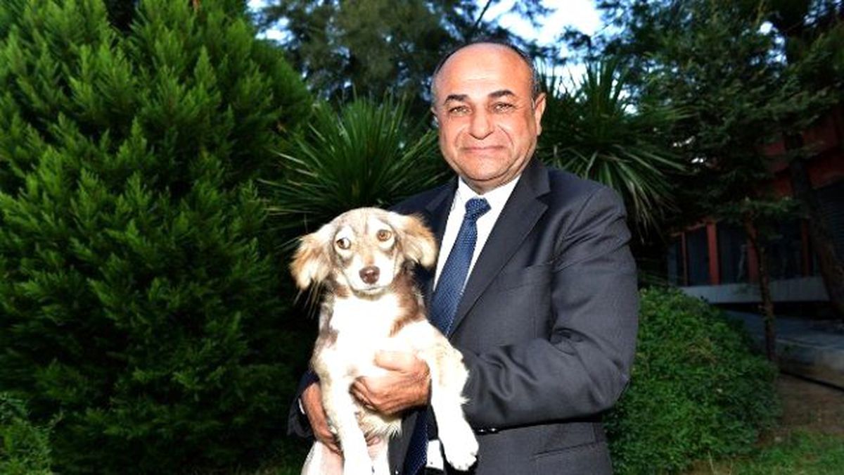 Çiğli Belediyesinden Hayvanlara Özel Bakımevi