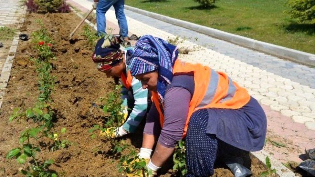 Daha Yeşil Bir Bozüyük İçin Çalışmalar Sürüyor