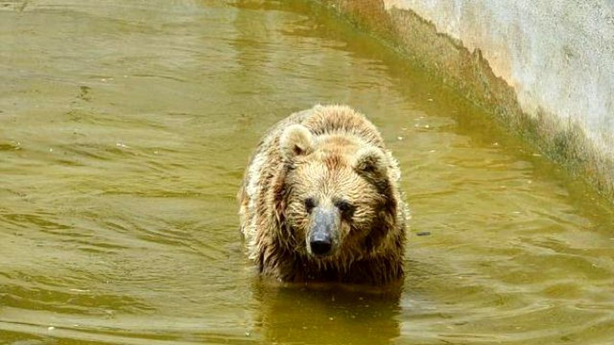 İzmir Doğal Yaşam\'da Buzlu Serinlik