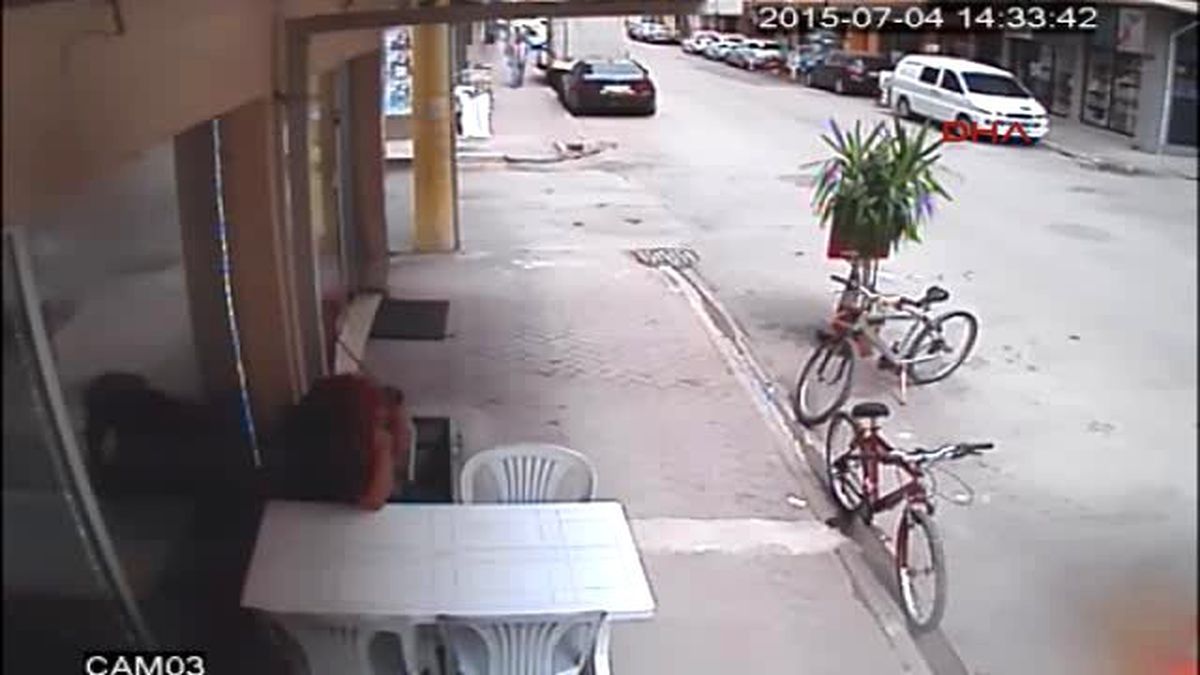 Sahibiyle Birlikte Yürüyen Köpeğe Kedi Saldırdı