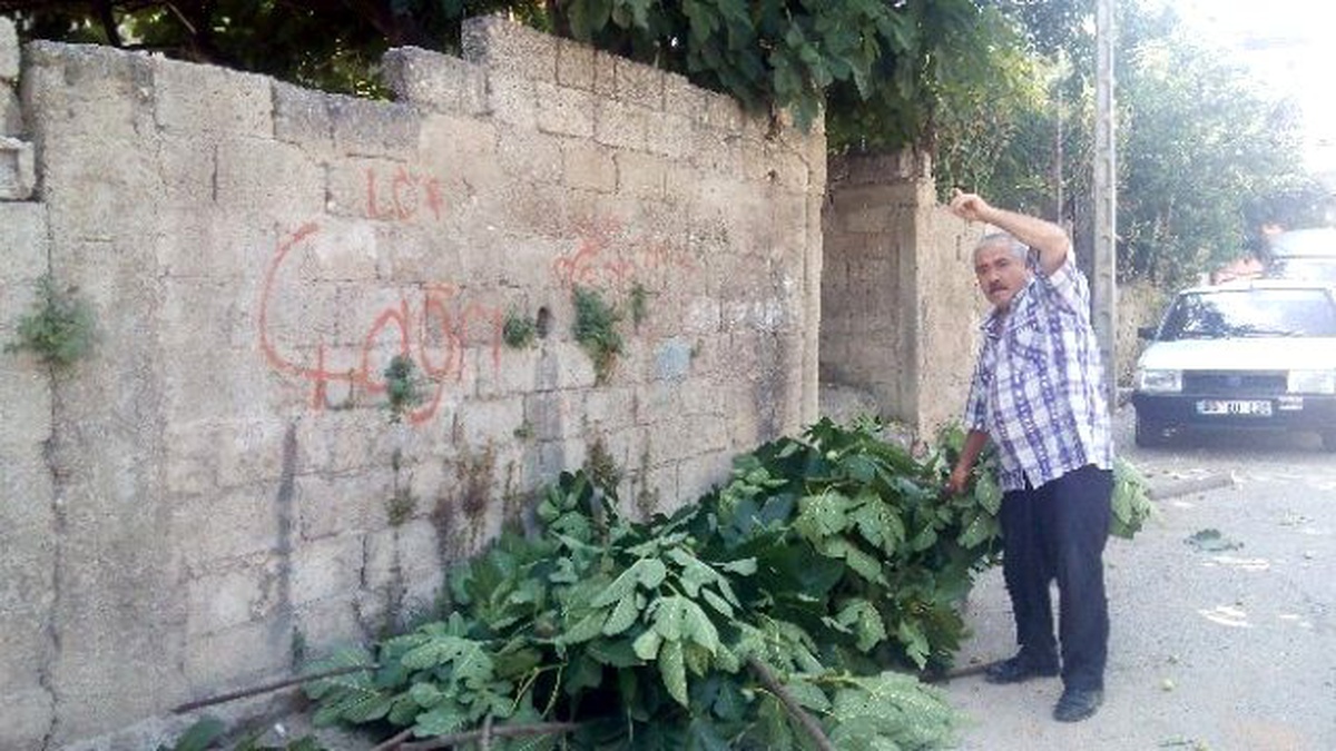 Kesilen İncir Dalı Komşuları Karakolluk Etti