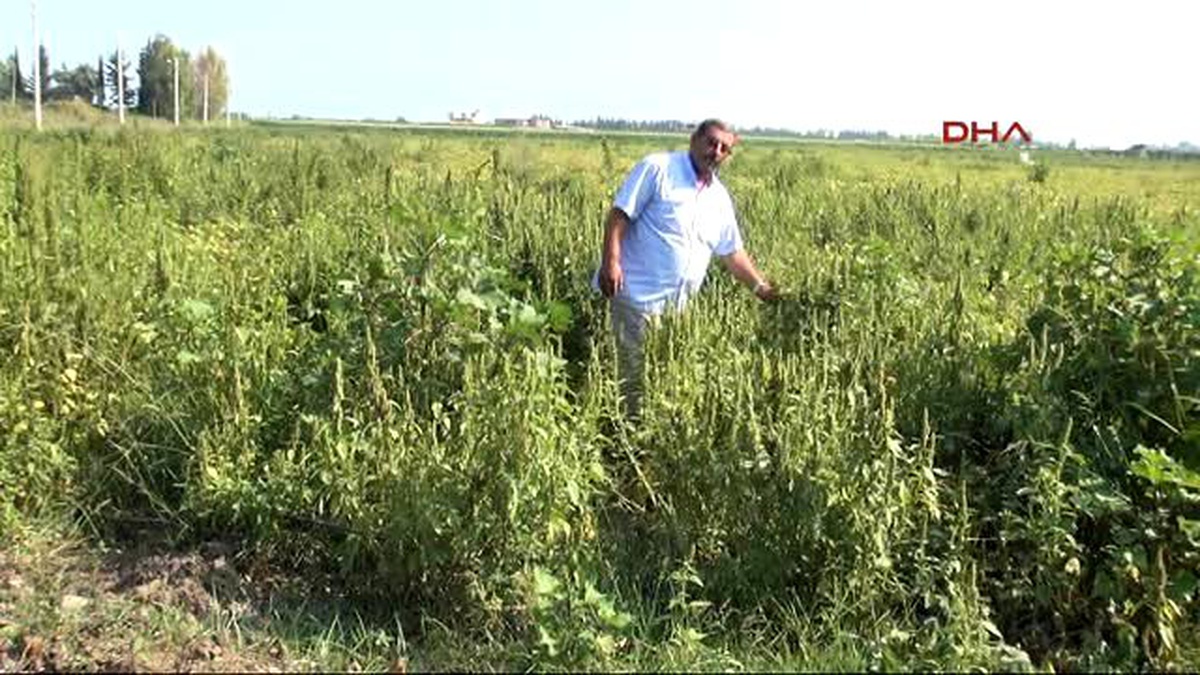 Mersin 19 Yıl Sonra \'Vatansız\' Olduğunu Öğrendi