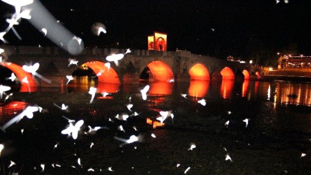 Kelebeklerin Işık Çevresinde Dansı Görenleri Hayran Bıraktı