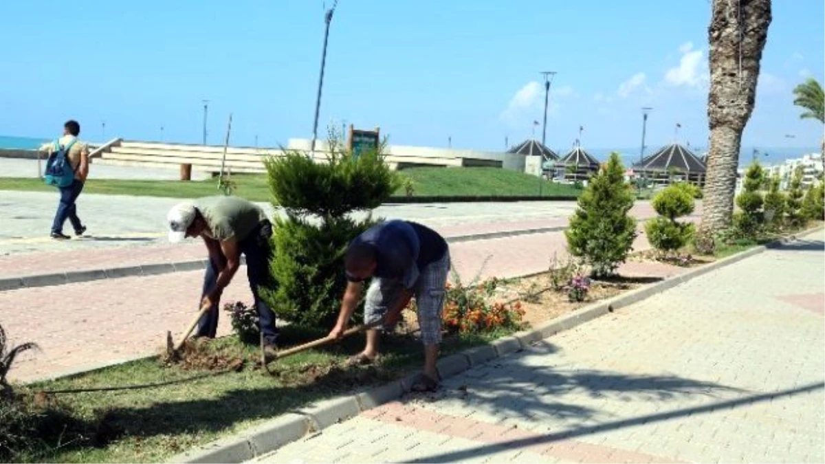 Erdemli\'de Park Bahçe Düzenlemesi