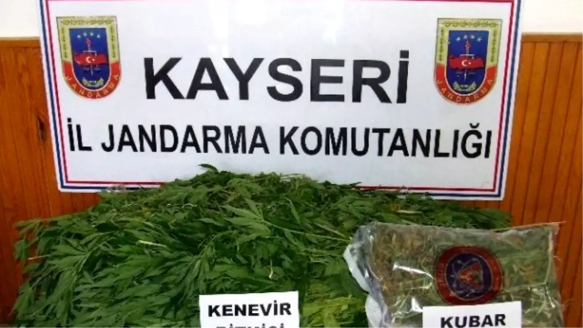 Jandarma Ekiplerinden Uyuşturucu Operasyonu