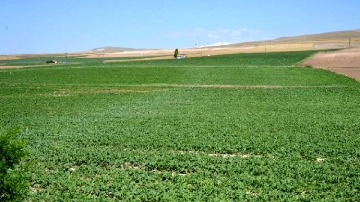 Kayseri Şeker Toprak Yılında Toprağı Koruma Seferberliği Başlattı