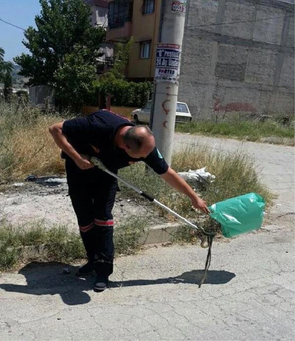 Kaptığı Kuşu Yerken Ölen Yılanı Canlı Sanan Mahalleli Panik Oldu