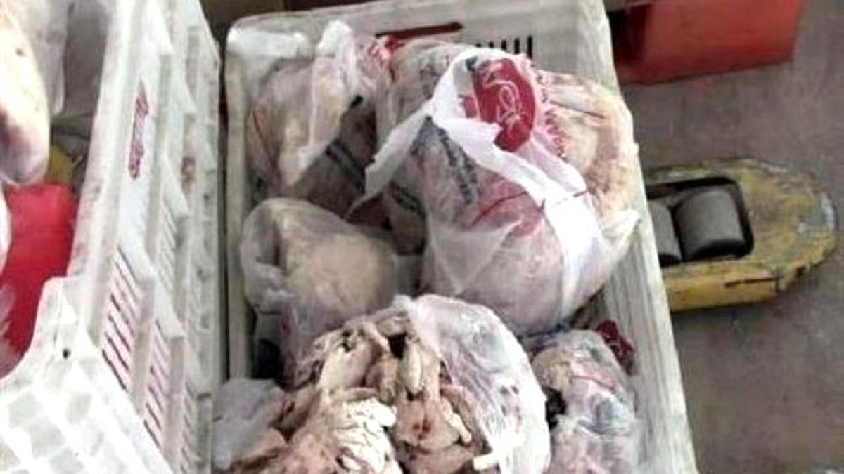Şanlıurfa\'da 2,5 Ton Tavuk Eti İmha Edildi