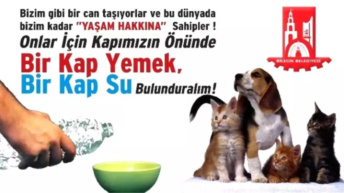 Bilecik Belediyesi\'nden Duyarlılık Çağrısı