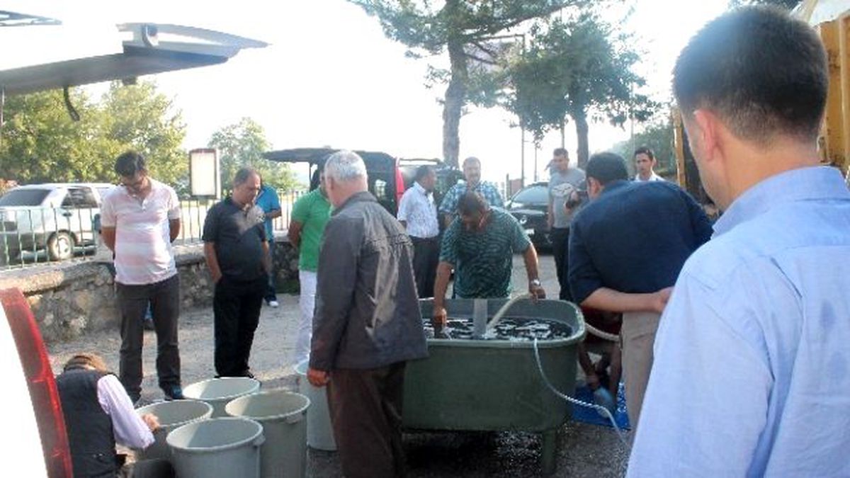 Bilecik\'te 24 Bin 100 Adet Sazan Yavrusu Göletlere Salındı